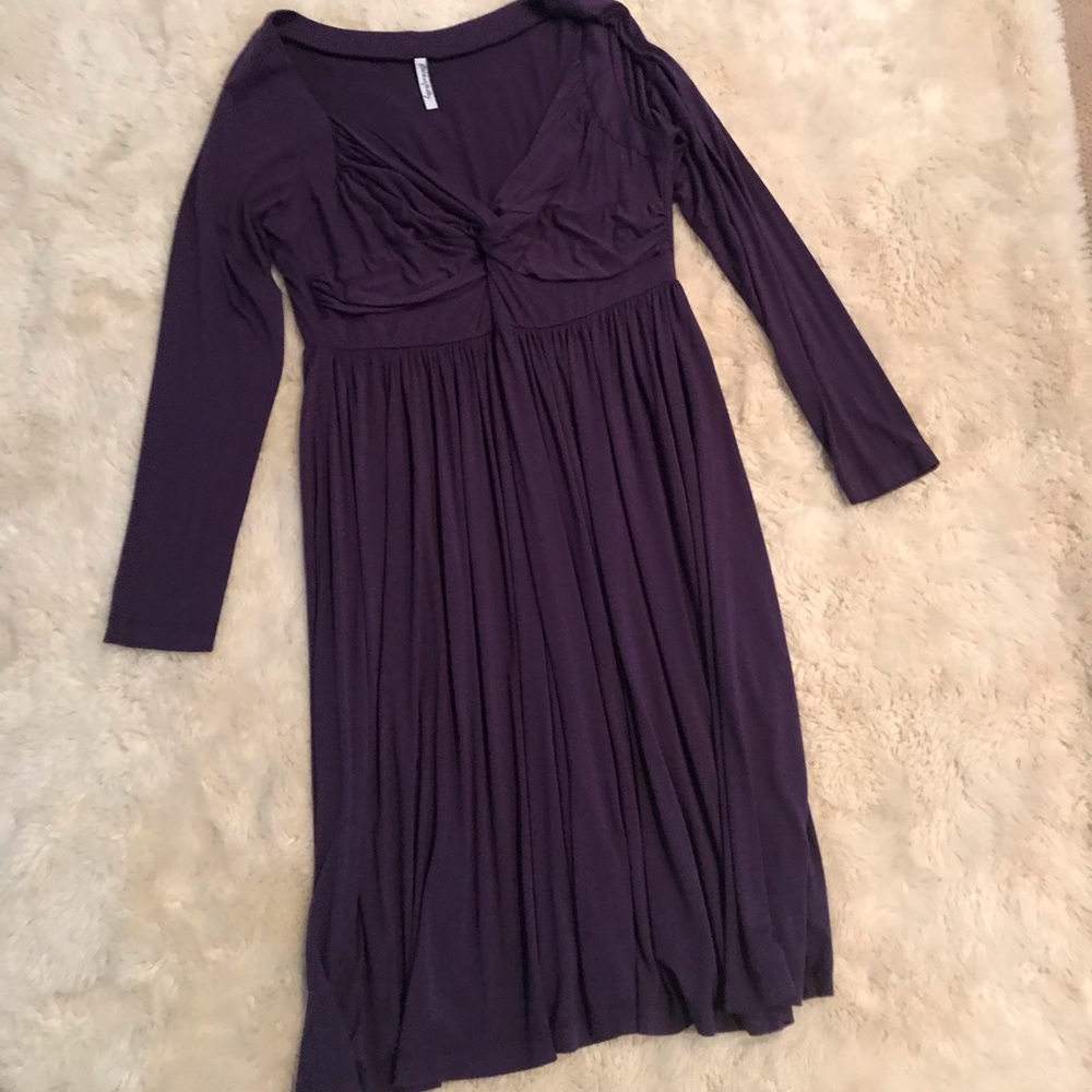 Rachel Pally purple dress 2x